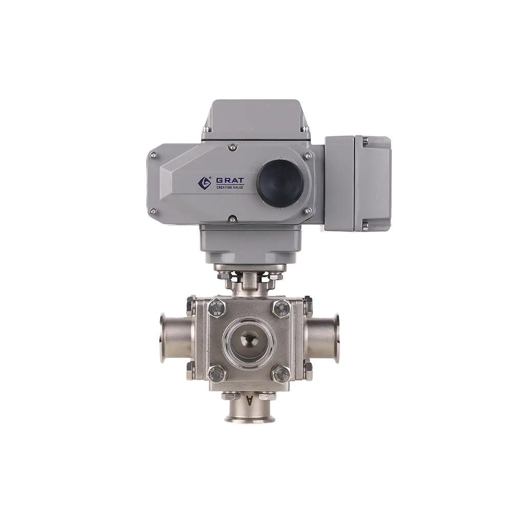 Sanitary Five Way Electric Valve 1